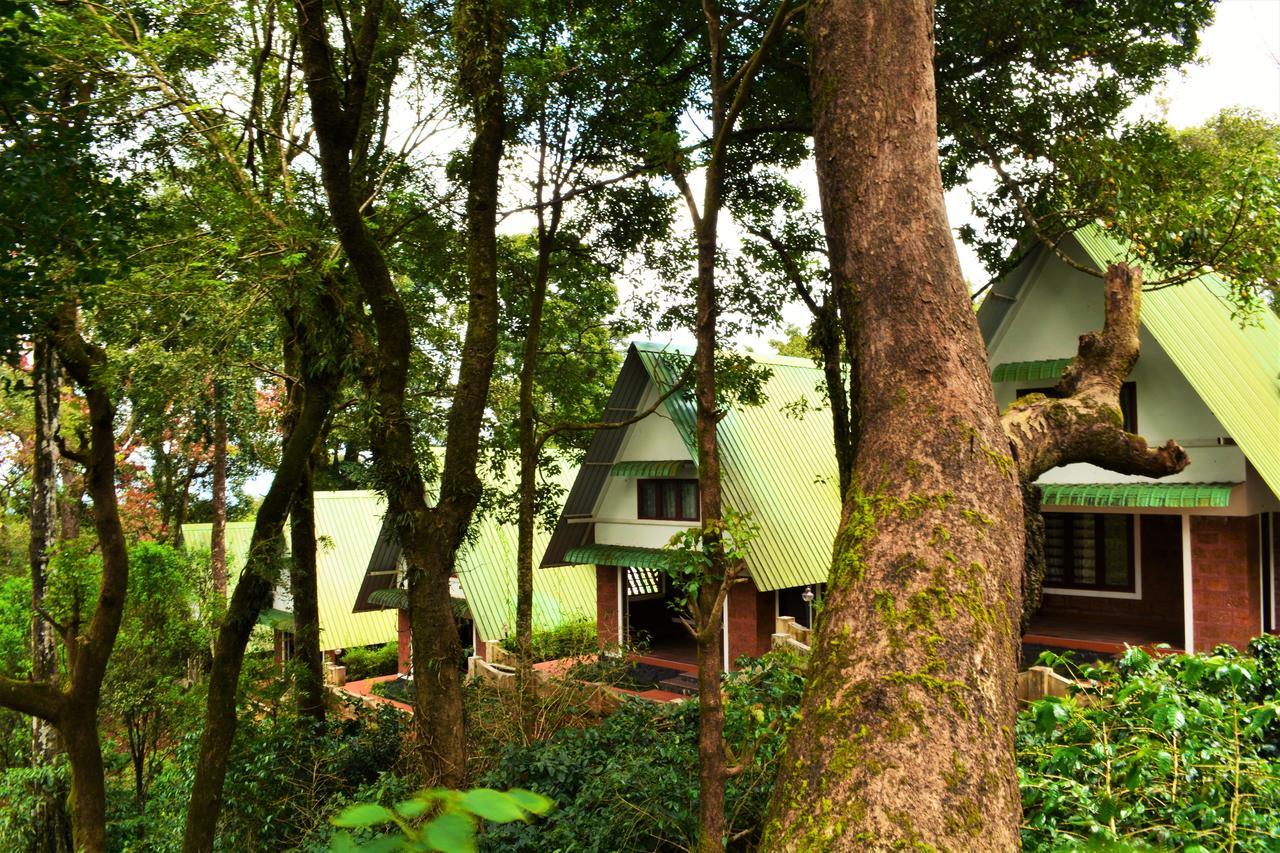 Misty Woods Resort Kakkabe Exterior photo